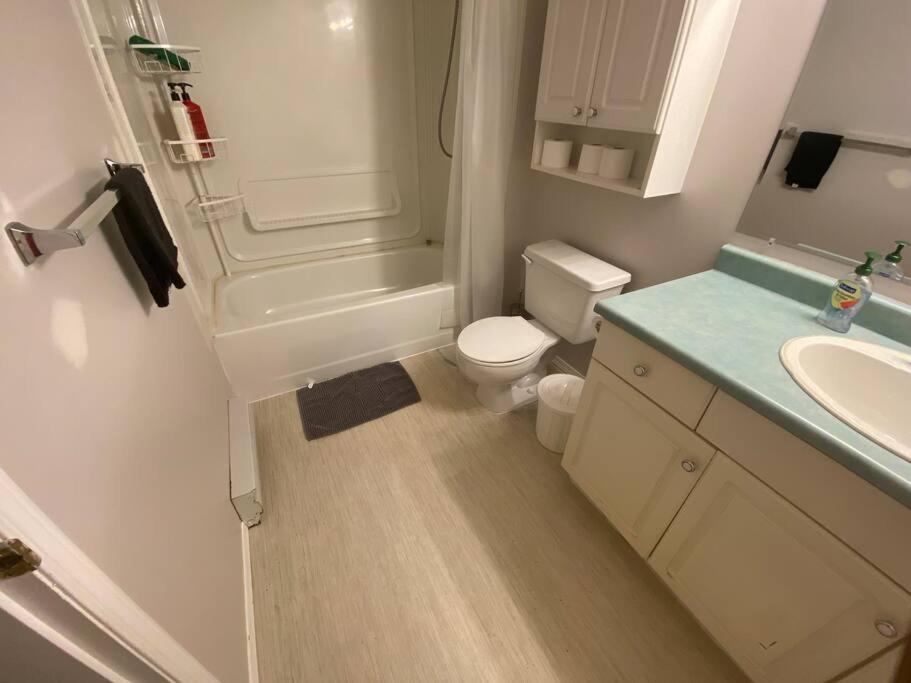 Artistic Apartment Near Downtown Victoria Extérieur photo