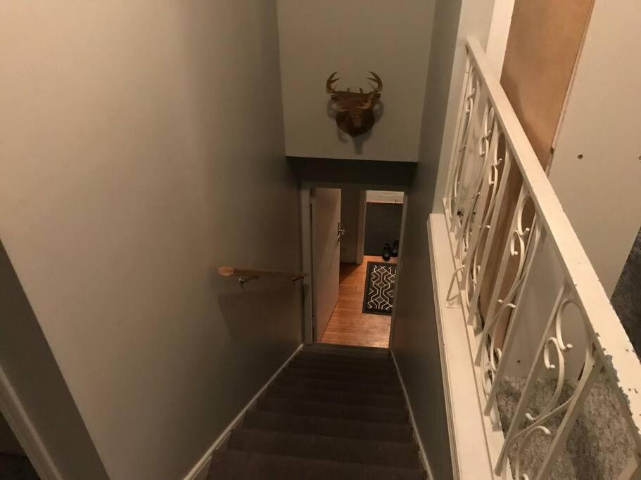 Artistic Apartment Near Downtown Victoria Extérieur photo
