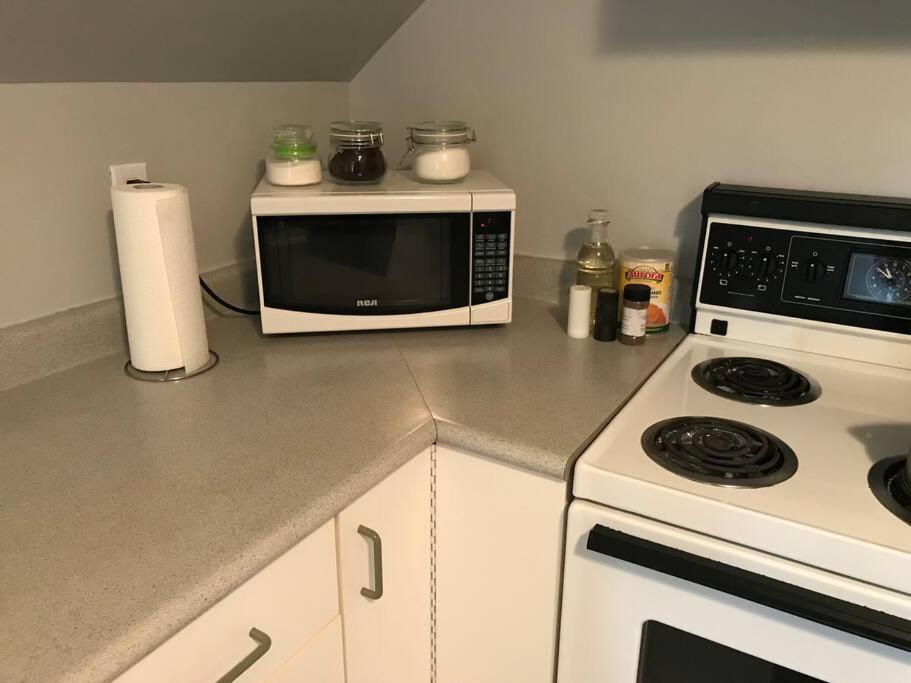 Artistic Apartment Near Downtown Victoria Extérieur photo